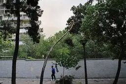احتمال وقوع سیل و وزش باد شدید در ۴ استان کشور