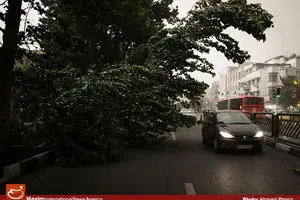 اسامی مصدومان طوفان روز گذشته در تهران