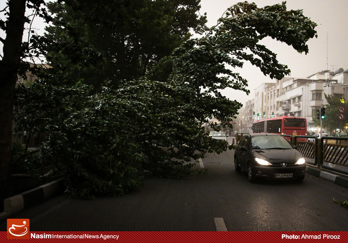 اسامی مصدومان طوفان روز گذشته در تهران