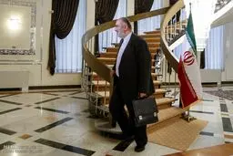 هاشمی‌طبا: 