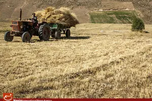کشاورزان آذربایجان شرقی، قزوین و خراسان شمالی چه مقدار تسهیلات گرفتند؟