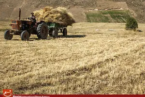 کشاورزان آذربایجان شرقی، قزوین و خراسان شمالی چه مقدار تسهیلات گرفتند؟