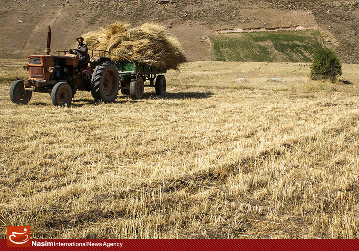 کشاورزان آذربایجان شرقی، قزوین و خراسان شمالی چه مقدار تسهیلات گرفتند؟