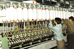 رکود اقتصادی مانع از فروش ۳۰۰ میلیاردی املاک کارخانجات ایران مرینوس شد