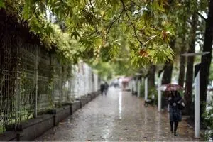 بارش باران در ۲۰ استان کشور طی ۳ روز آینده/ هوا سرد می‌شود