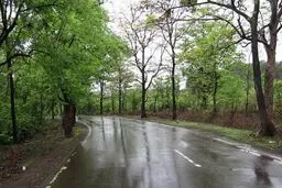 بارش باران در ۱۲ استان کشور/ ورود موج جدید بارشی از سه شنبه