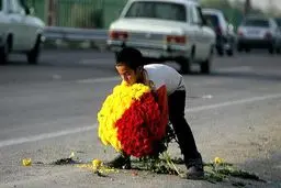 ژست انتخاباتی دولت در کاهش آمار کودکان کار؛ به نام 