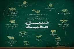نسل مفید