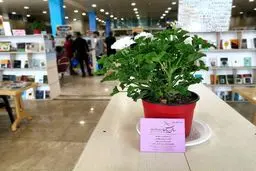 کتاب‌های خوب را در سالن یاس بیابید