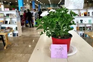 کتاب‌های خوب را در سالن یاس بیابید