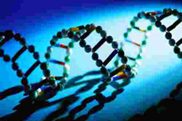 فعالیت ٢٥٦ مرکز مشاوره ژنتیک در کشور/ تشکیل یک میلیون پرونده مشاوره ژنتیک