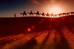 آوای زنگ قافله ...