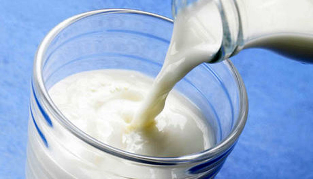 تولید شیری با طعم دوغ که قادر به کاهش کلسترول است