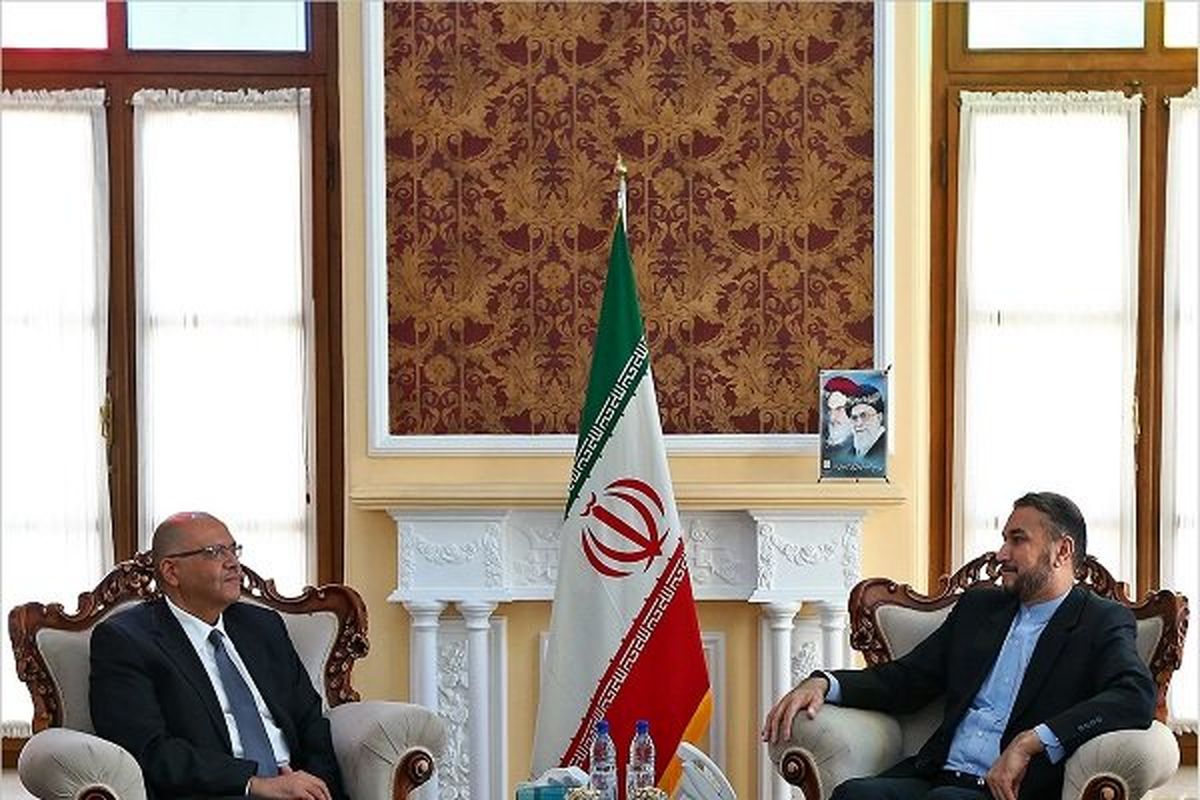امیرعبدالهیان با حافظ منافع مصر در تهران دیدار کرد