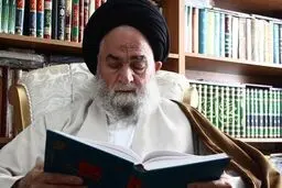 خرده گیران و کوتاه‌فکران قادر به درک صلح امام حسن(ع) نبودند