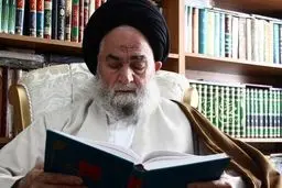 خرده گیران و کوتاه‌فکران قادر به درک صلح امام حسن(ع) نبودند