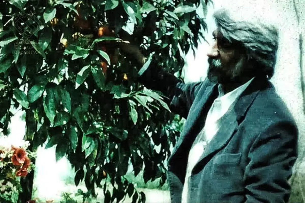 یادکردی از قیصر شعر ایران/ حالیا در سوگ چشمت، حال آبادی خراب