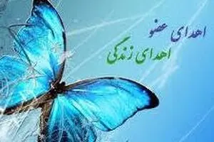 امکان صدور آنلاین کارت اهدای عضو فراهم شد