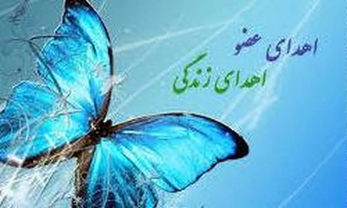 امکان صدور آنلاین کارت اهدای عضو فراهم شد