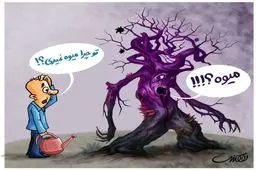 پس چرا میوه نمی‌دهد؟