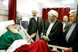 رئیس قوه قضائیه از آیت‌الله هاشمی شاهرودی عیادت کرد + تصاویر