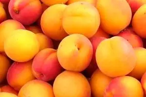 قیمت زرد آلوی نوبرانه به ۱۵ هزار تومان رسید/ طالبی ۳۵۰۰ تومان شد