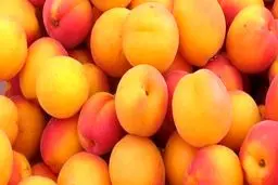 قیمت زرد آلوی نوبرانه به ۱۵ هزار تومان رسید/ طالبی ۳۵۰۰ تومان شد