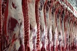 خبر ابتلای یک نفر به بیماری تب کریمه کنگو در ورامین تکذیب شد