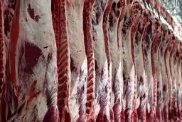 خبر ابتلای یک نفر به بیماری تب کریمه کنگو در ورامین تکذیب شد