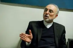 پاسخ صالحی به اخبار منتشر شده درباره ۹۵۰ تن اورانیوم درخواستی ایران