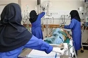 تب کریمه کنگو تاکنون ۳۱ مبتلا و ۳ فوتی داشته است