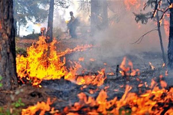 آتش‌سوزی در بوستان پردیسان/ ۴ هزار متر از فضای پارک در آتش سوخت