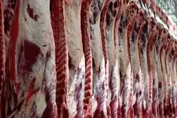 ابتلای یک دامدار میانسال در مازندران به تب کریمه کنگو/ انتقال بیمار از کلاردشت به ساری