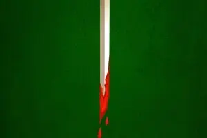 رفقای جانی