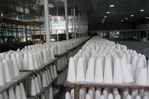 ۱۵۰۰ کارگر کارخانه‌های قندی در آستانه بیکاری قرار دارند!/ از ۸۰۰ هزار تن شکر وارداتی تنها ۵۵ هزار تن آن به کارخانه‌های ما رسید