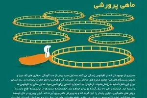 آینده غذایی؛ منوی سال ۲۰۳۰