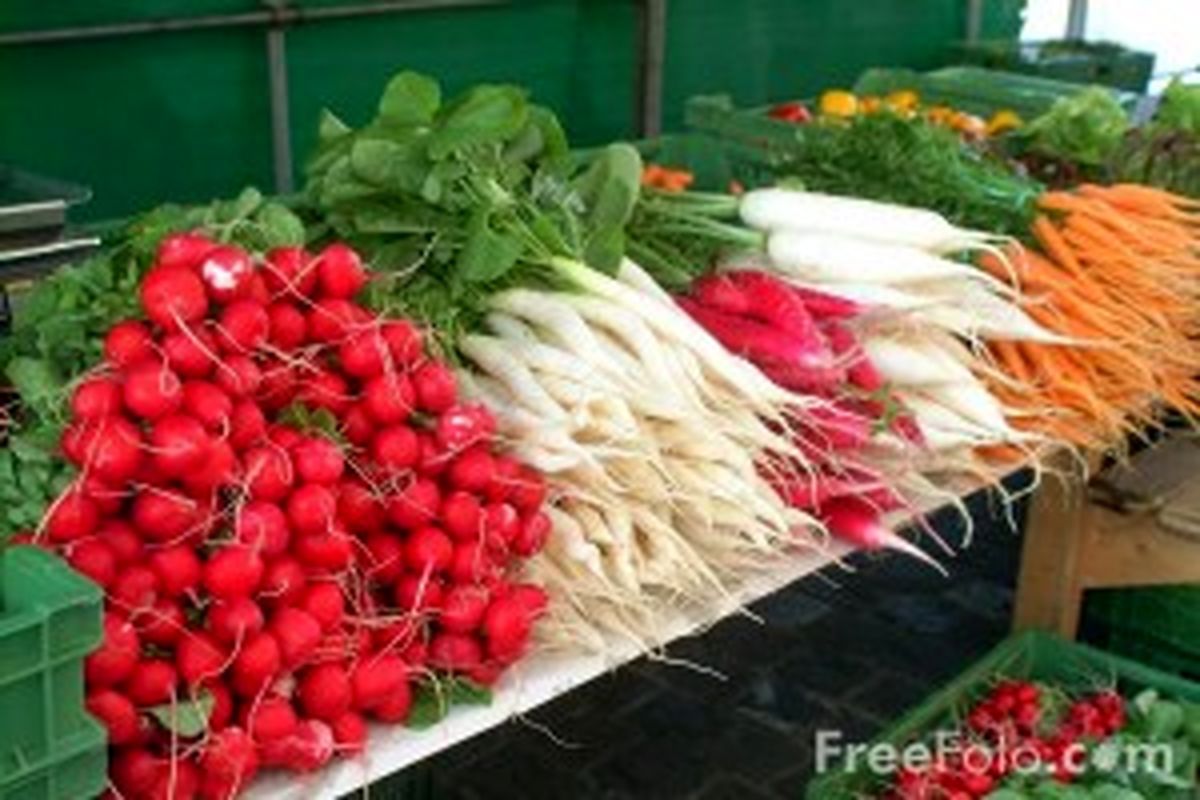 توقف صادرات محصولات کشاورزی به عمان به دلیل تعلل وزارت کشاورزی!