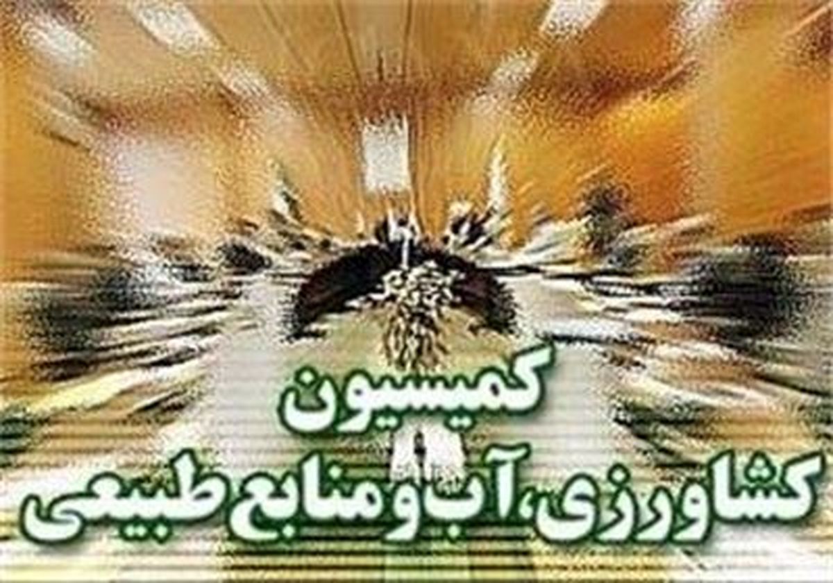 "علی اکبری" رئیس کمیسیون کشاورزی مجلس شد