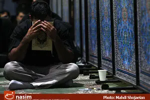 خدمات‌رسانی اتوبوسرانی تهران در 