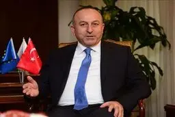 وزیر خارجه ترکیه برای دیدار با ملک سلمان وارد ریاض شد