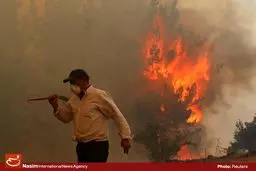 افزایش دمای هوا و احتمال آتش‌سوزی در جنگل‌ها