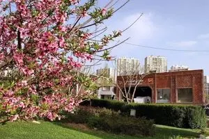 تایید کاستی‌های خط ۷ مترو/ شاکری: بخاطر رفاه مردم خط را زودتر افتتاح کردند