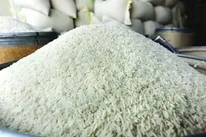 قیمت برنج در تهران به ۱۷ هزار تومان رسید!/ قیمت برنج بیشتر از ۱۴هزار و ۵۰۰ تومان گران فروشی است