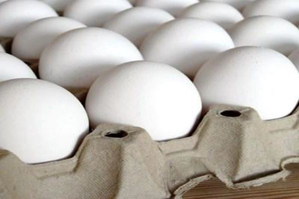 ترکیه صادرات تخم‌مرغ ایران به قطر را نصف کرد!/ صادرات تخم مرغ به عراق به دو کانتینر کاهش یافت