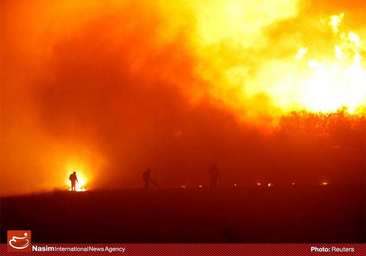آتش سوزی در حوالی باغ پرندگان تهران مهار شد/حادثه بدون مصدوم