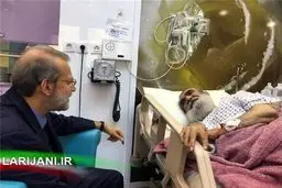 رئیس مجلس از آیت‌الله مظاهری عیادت کرد