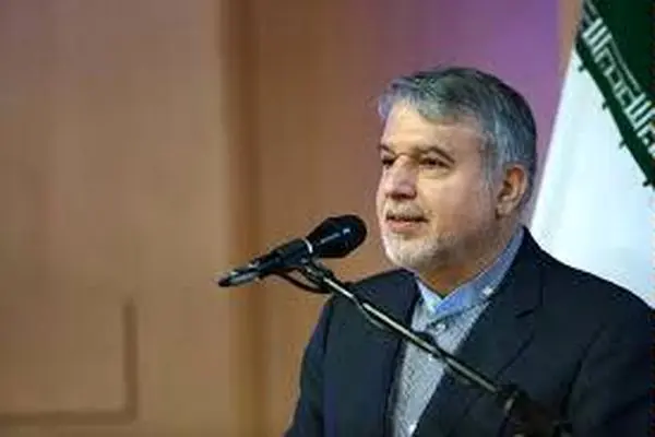 تشکیلات سینما باید به سمت سازمان نظام صنفی هنر برود