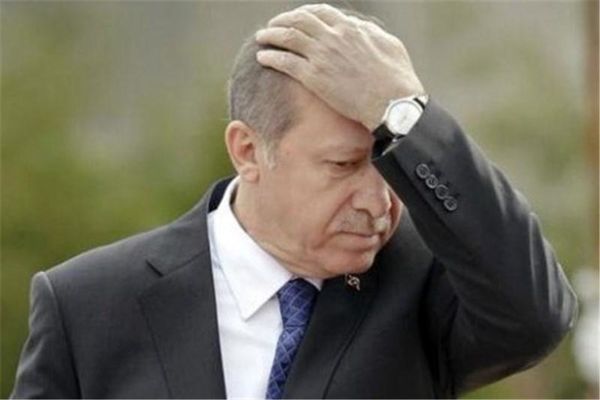 اردوغان از هوش رفت