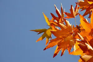 هوای تهران ۹ درجه خنک می‌شود