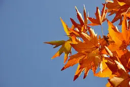 هوای تهران ۹ درجه خنک می‌شود